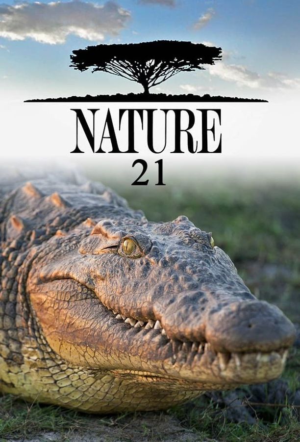 自然    第⁨二十一⁩季
    Nature (2002)