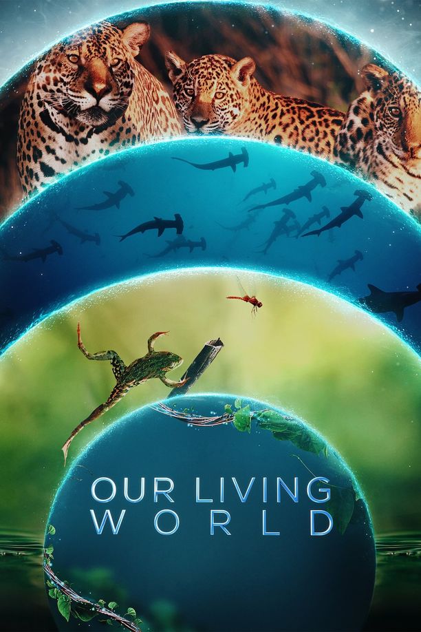 我们的生物世界Our Living World (2024)