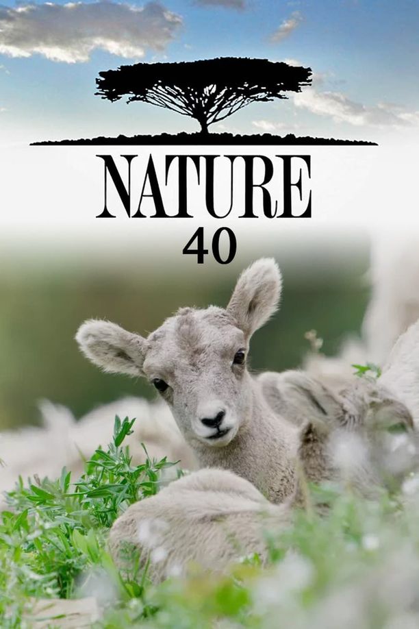 自然    第⁨四十⁩季
    Nature (2021)