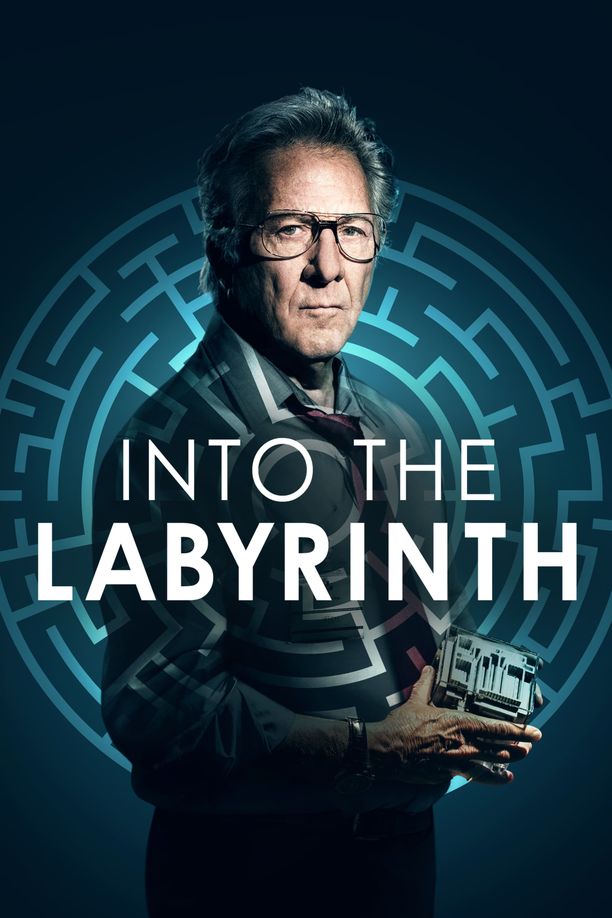 迷宫中的人L'uomo del labirinto (2019)