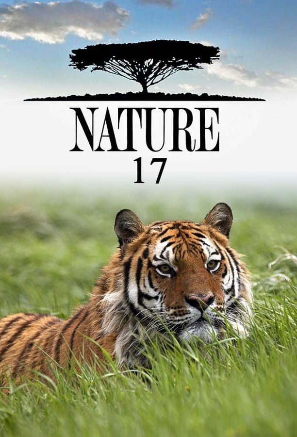 自然    第⁨十七⁩季
    Nature (1998)