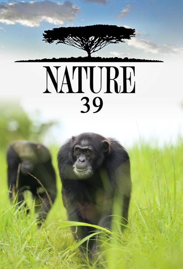 自然    第⁨三十九⁩季
    Nature (2020)