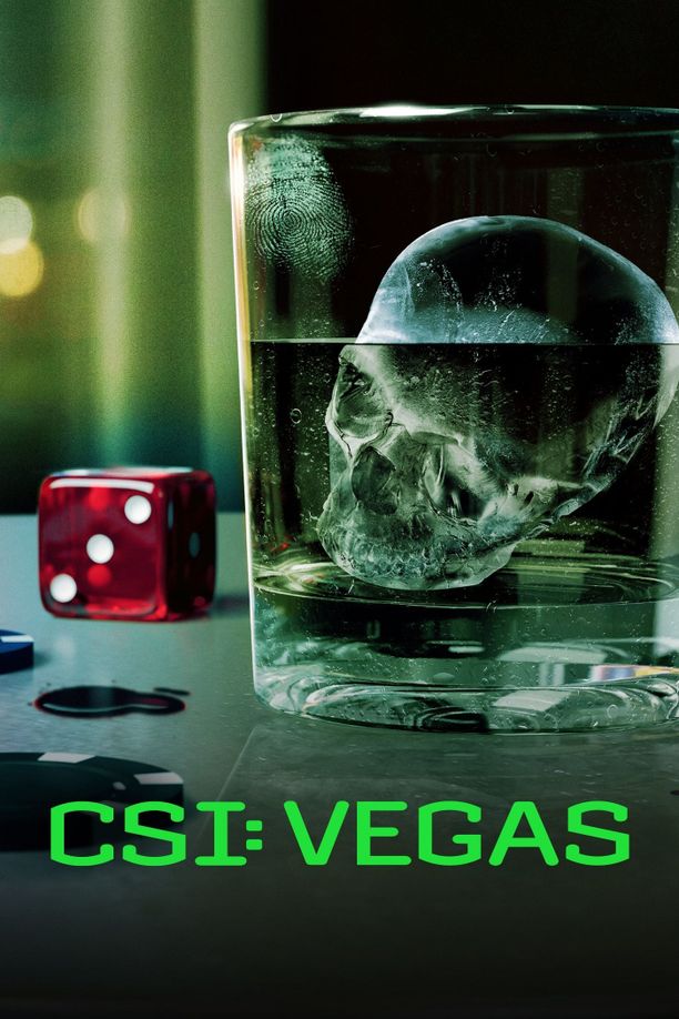 犯罪现场调查：维加斯    第⁨三⁩季
    CSI: Vegas (2024)