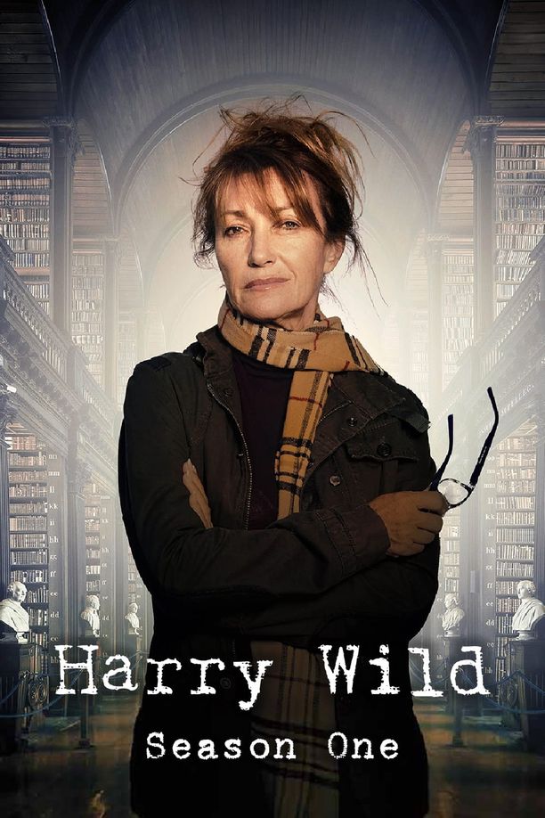 野探哈莉    第⁨一⁩季
    Harry Wild (2022)
