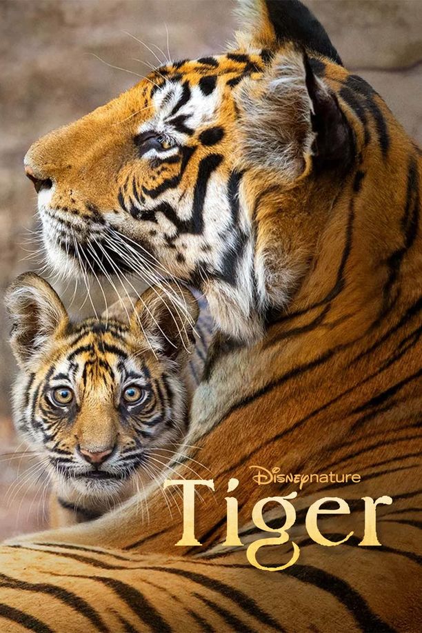 老虎Tiger (2024)