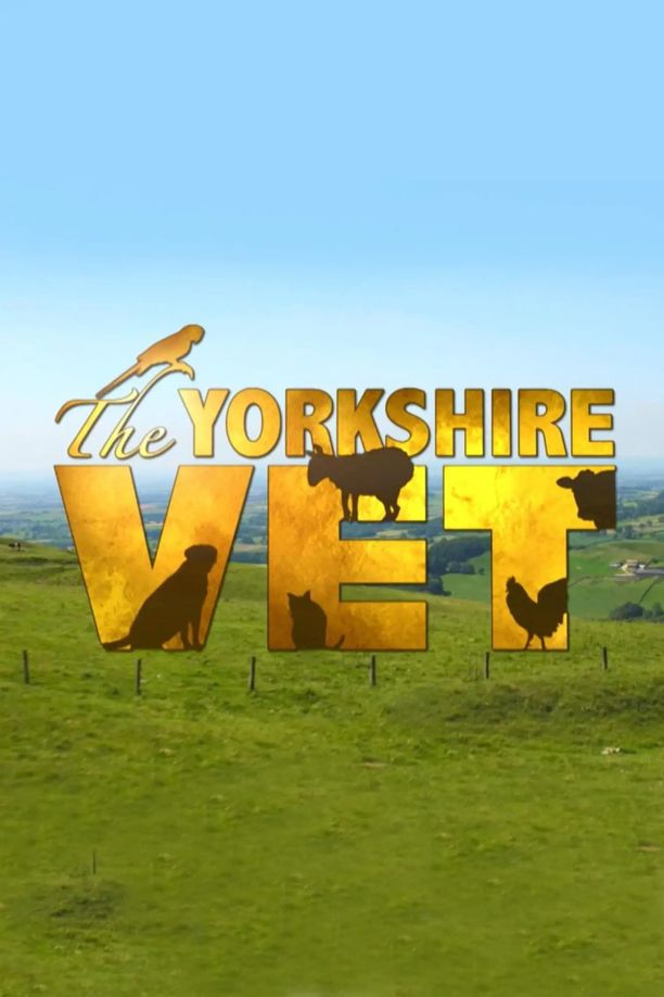 The Yorkshire Vet    第⁨十五⁩季
     (2023)