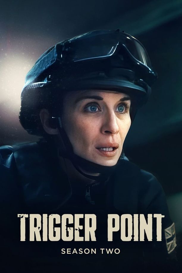 一触即发    第⁨二⁩季
    Trigger Point (2024)