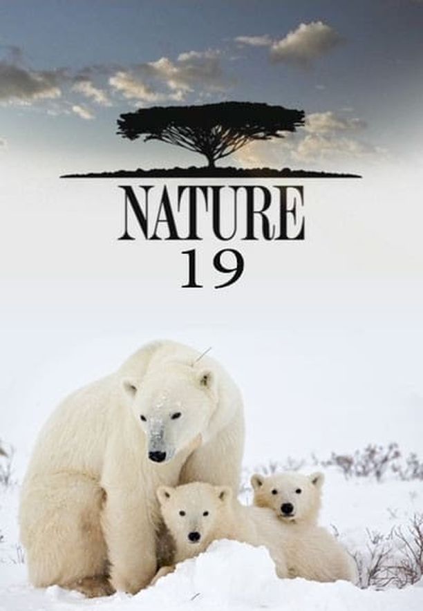 自然    第⁨十九⁩季
    Nature (2000)