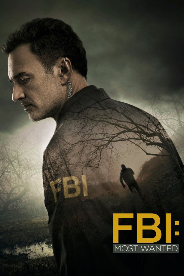 联邦调查局：通缉要犯    第⁨一⁩季
    FBI: Most Wanted (2020)