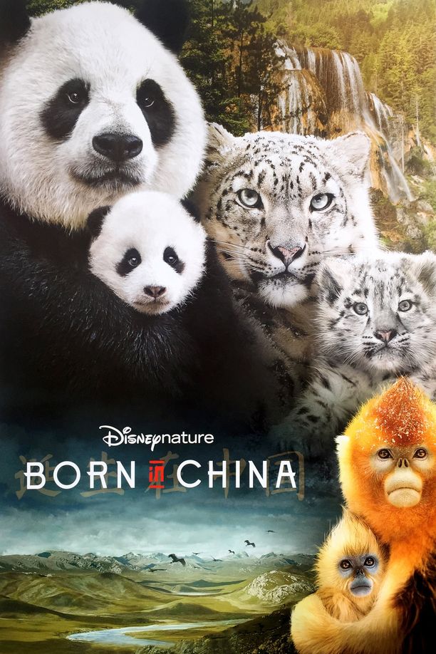 我们诞生在中国Born in China (2016)