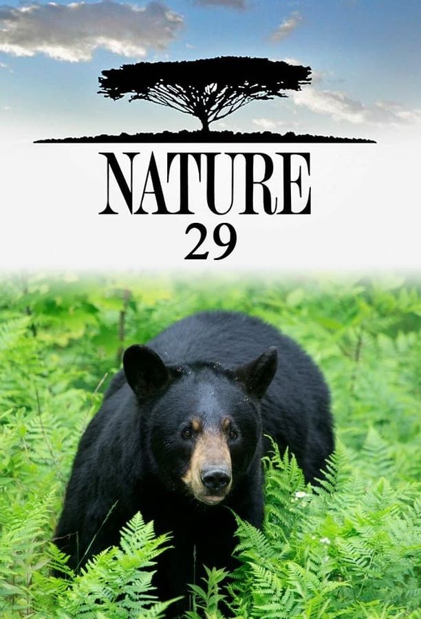 自然    第⁨二十九⁩季
    Nature (2010)