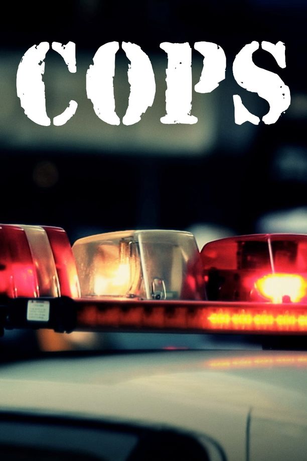 美国警察    第⁨十一⁩季
    Cops (1998)
