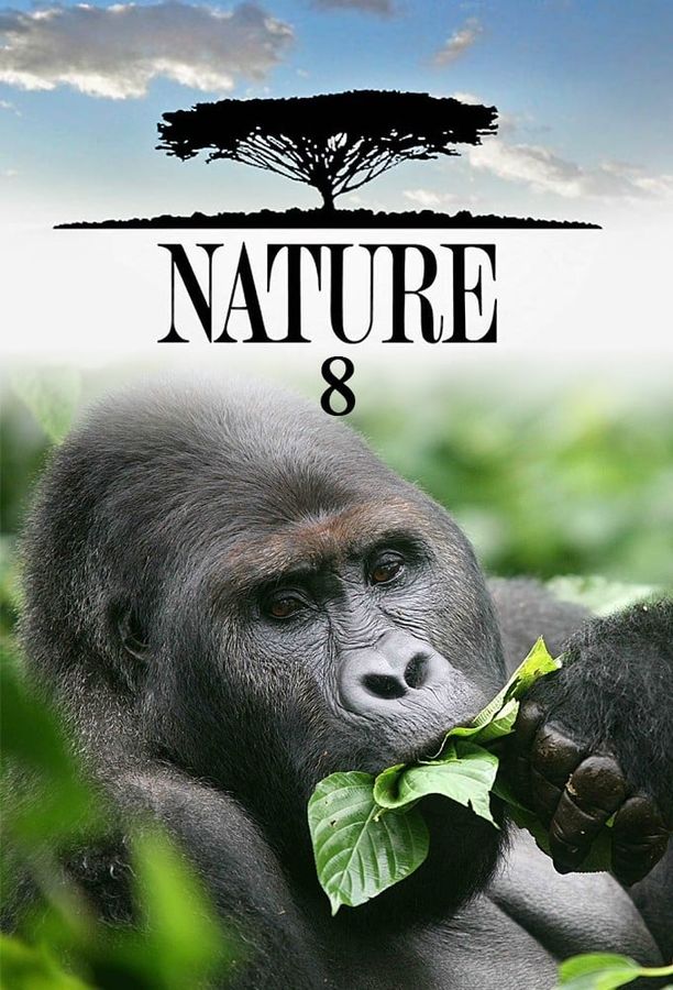 自然    第⁨八⁩季
    Nature (1989)