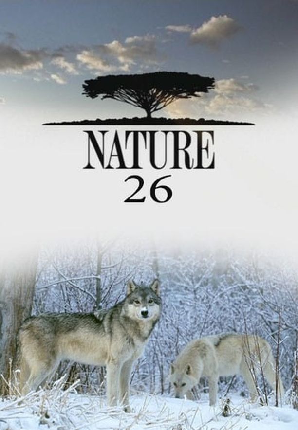 自然    第⁨二十六⁩季
    Nature (2007)