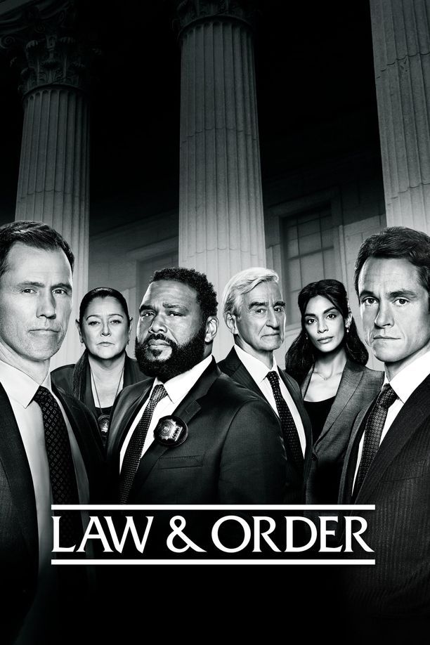 法律与秩序    第⁨二十一⁩季
    Law & Order (2022)