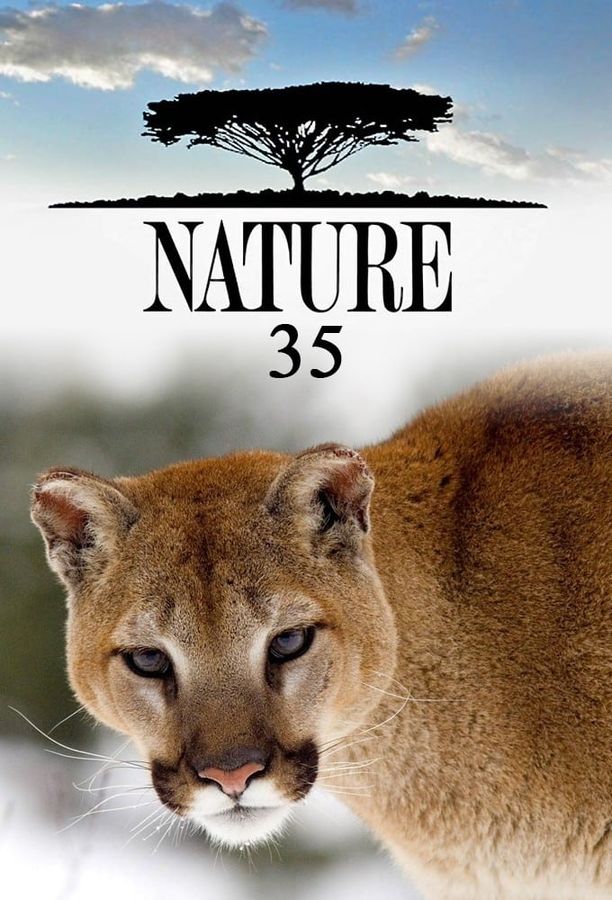 自然    第⁨三十五⁩季
    Nature (2016)