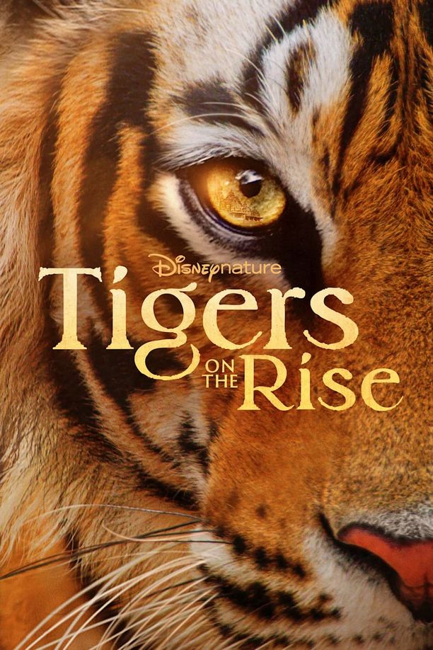 老虎崛起Tigers on the Rise (2024)