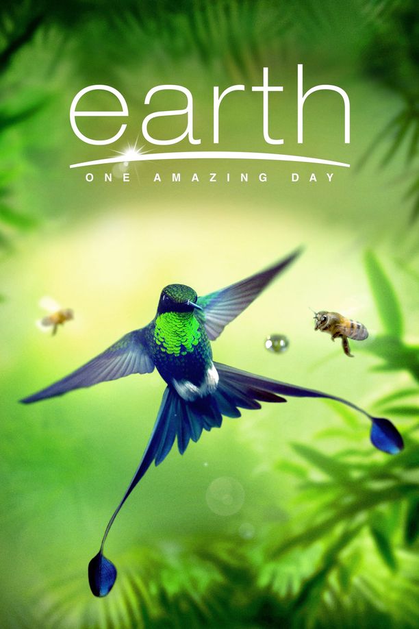 地球：神奇的一天Earth: One Amazing Day (2017)