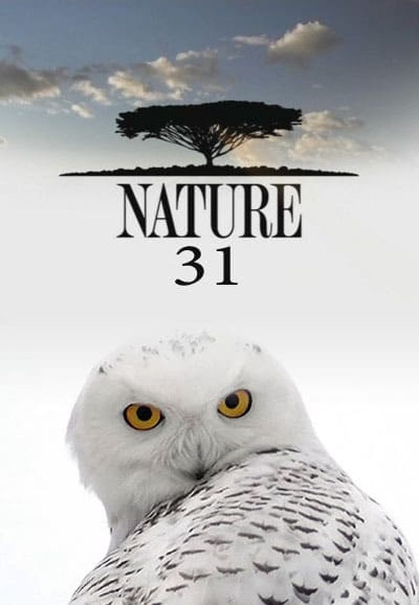 自然    第⁨三十一⁩季
    Nature (2012)