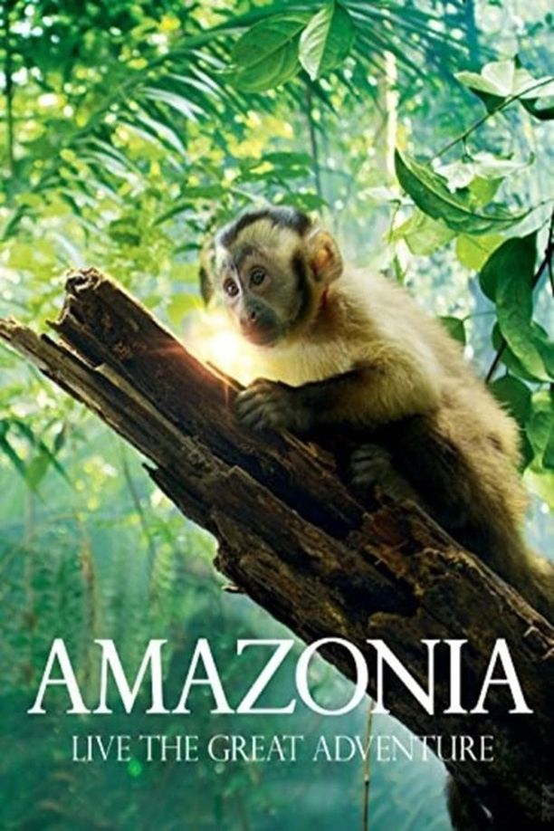 亚马逊萌猴奇遇记Amazonia (2013)