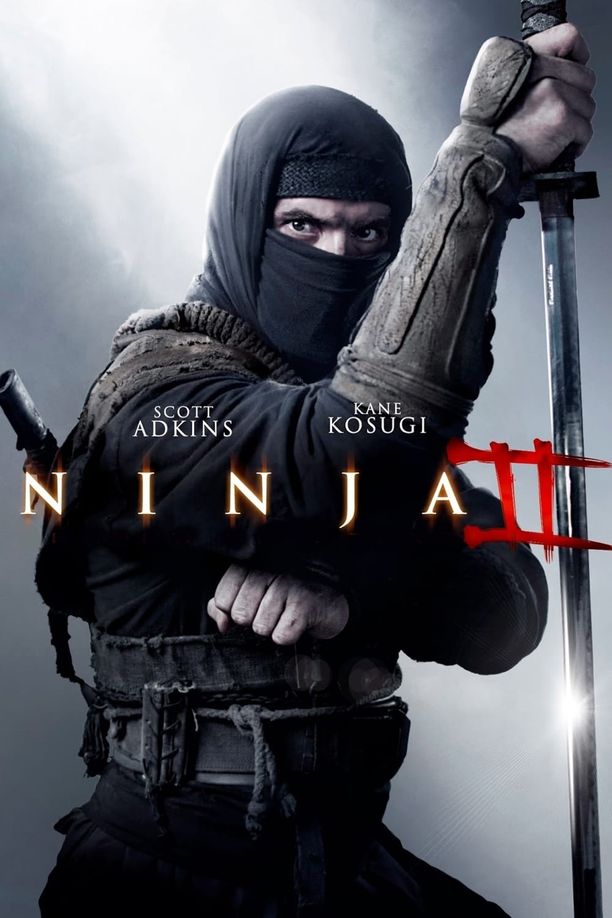 忍者2：撕裂的暗影Ninja: Shadow of a Tear (2013)