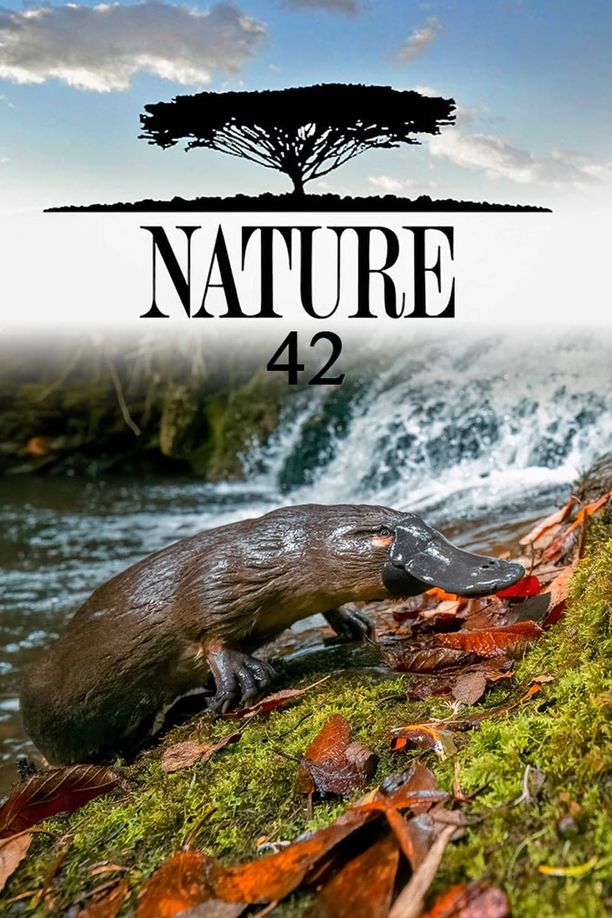 自然    第⁨四十二⁩季
    Nature (2023)
