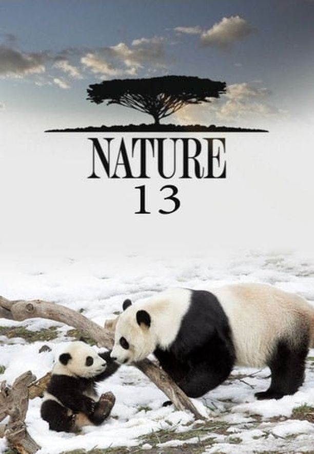自然    第⁨十三⁩季
    Nature (1994)