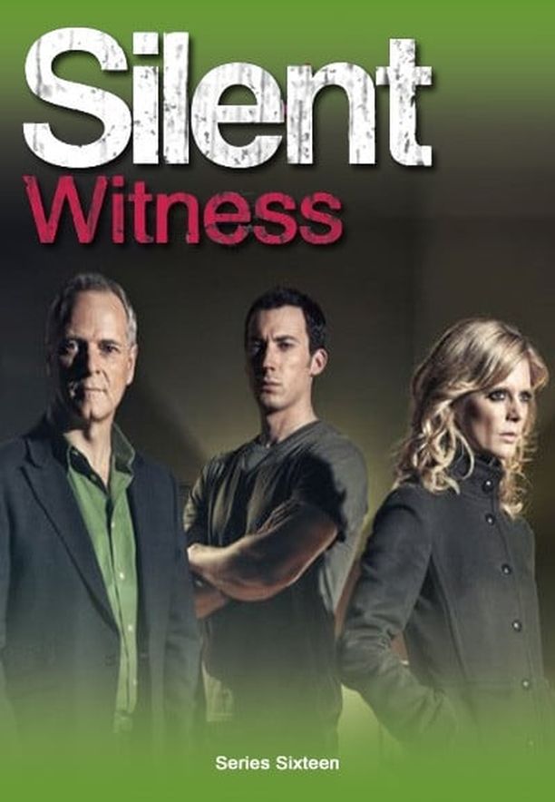 无声的证言    第⁨十六⁩季
    Silent Witness (2013)