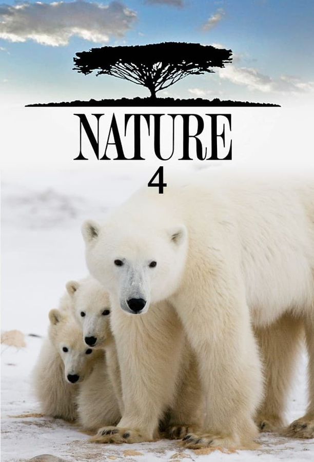 自然    第⁨四⁩季
    Nature (1985)