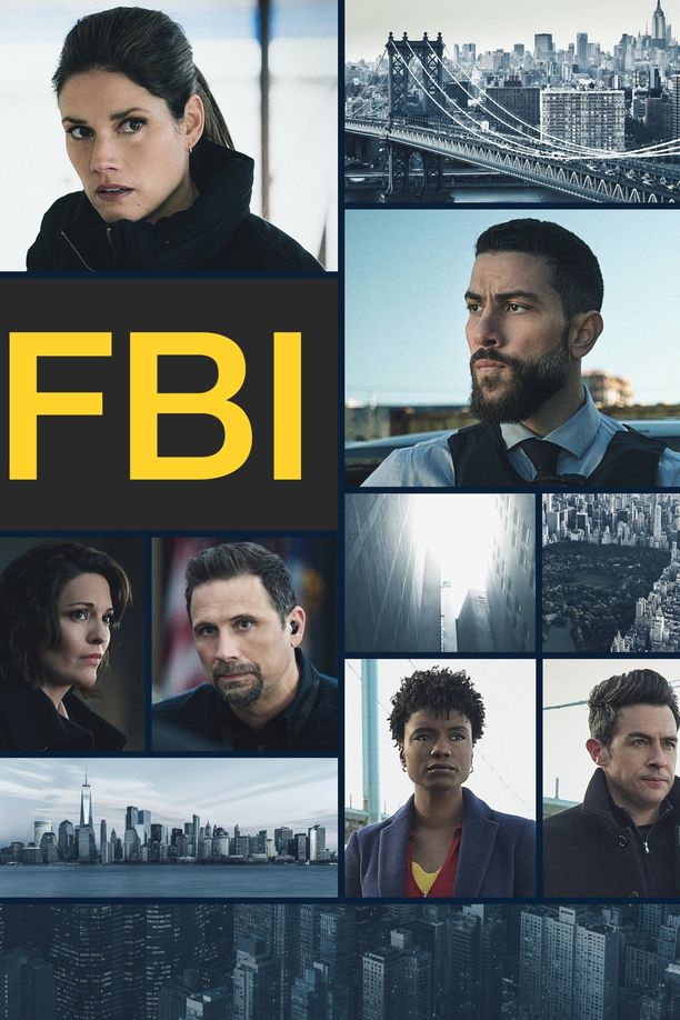 联邦调查局    第⁨五⁩季
    FBI (2022)