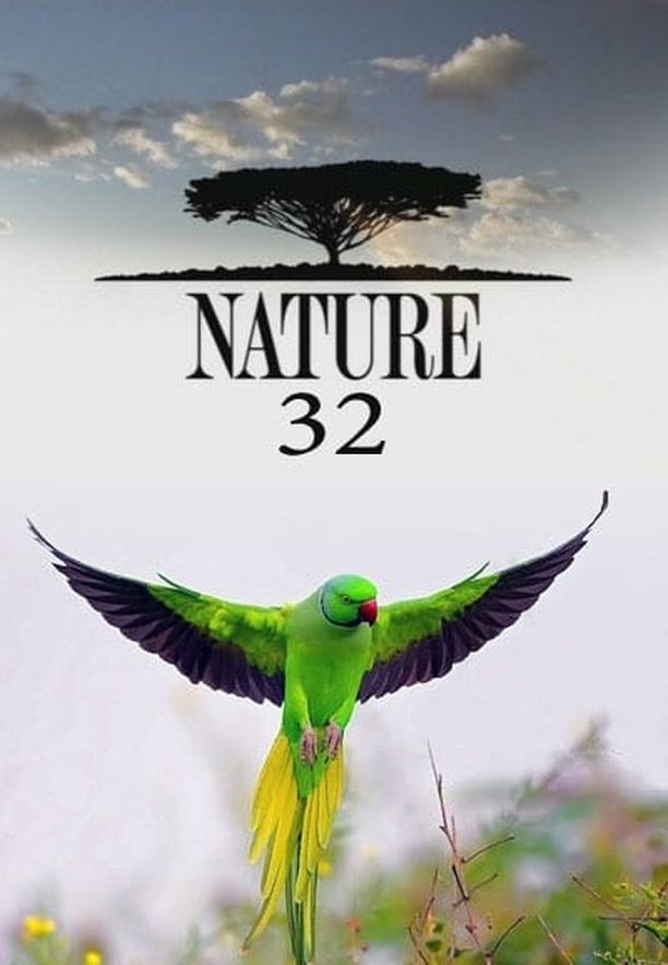 自然    第⁨三十二⁩季
    Nature (2013)