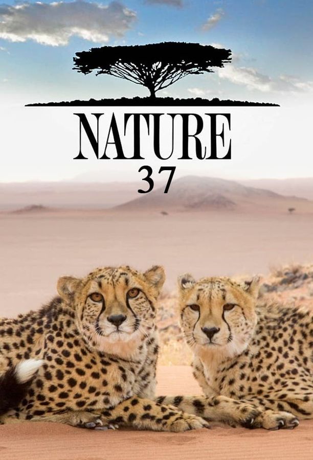 自然    第⁨三十七⁩季
    Nature (2018)