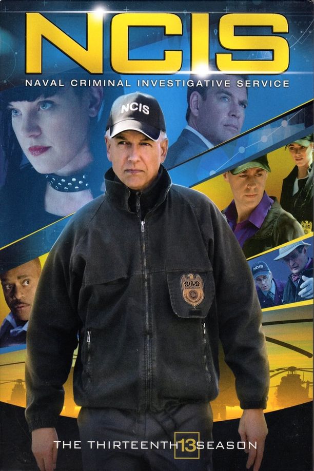 海军罪案调查处    第⁨十三⁩季
    NCIS (2015)