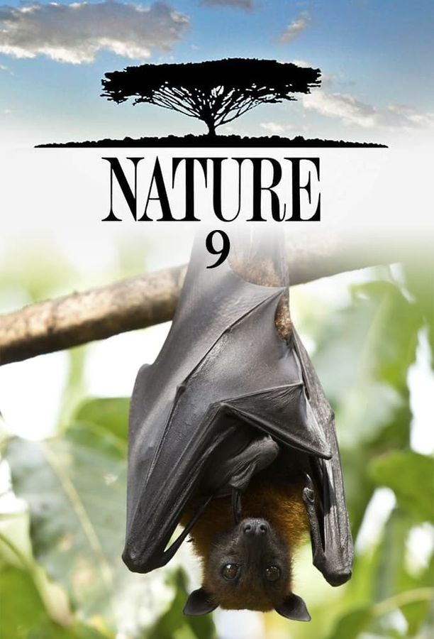 自然    第⁨九⁩季
    Nature (1990)