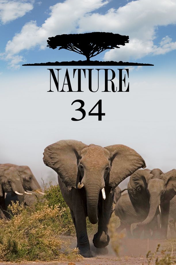 自然    第⁨三十四⁩季
    Nature (2015)