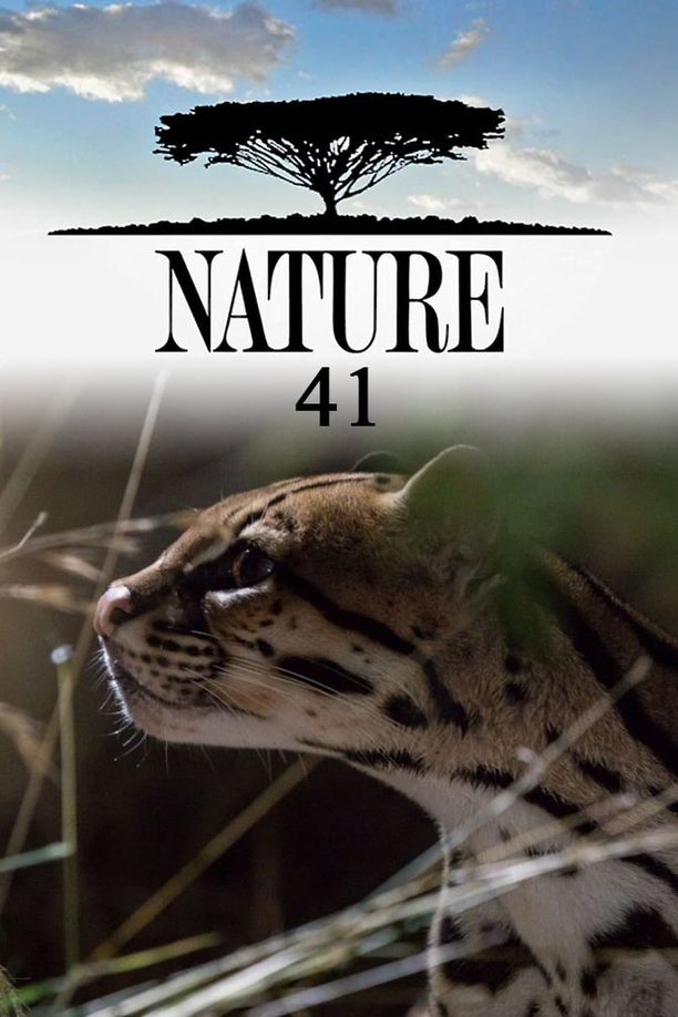 自然    第⁨四十一⁩季
    Nature (2022)