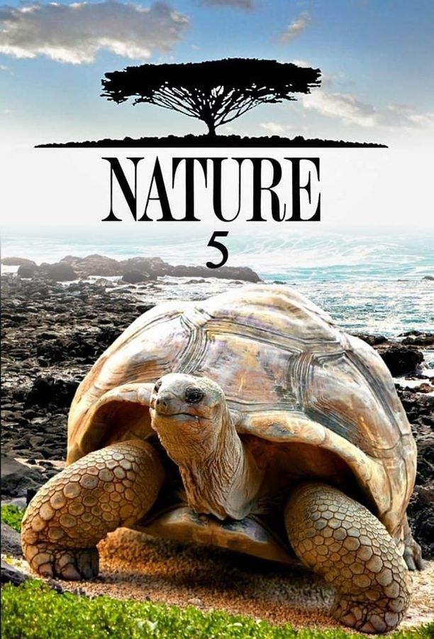 自然    第⁨五⁩季
    Nature (1986)