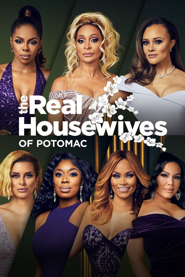 波托马克娇妻The Real Housewives of Potomac (2016)
