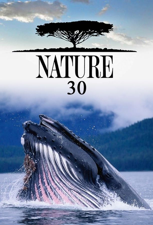 自然    第⁨三十⁩季
    Nature (2011)