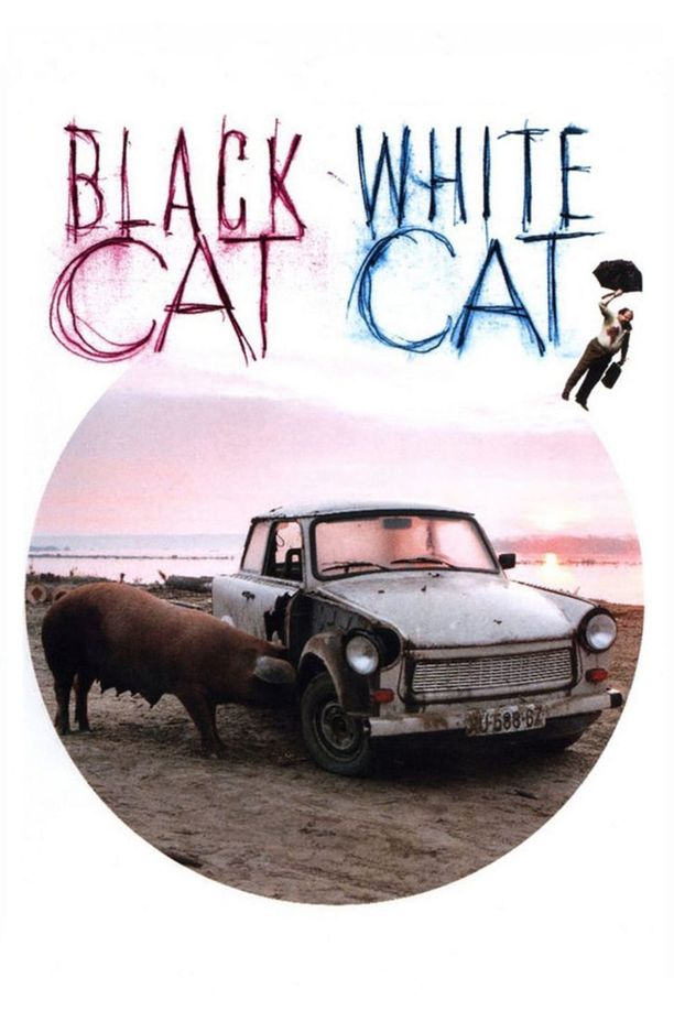 黑猫白猫Crna mačka, beli mačor (1998)