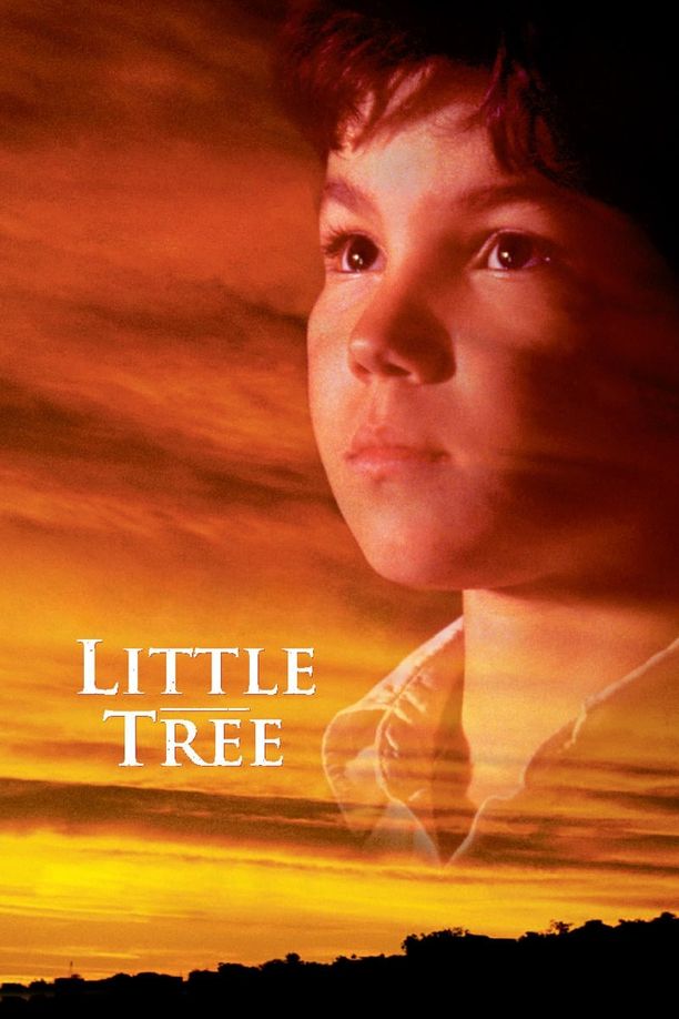 小树的故事The Education of Little Tree (1997)